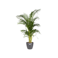 brussels rund 18cm anthracite